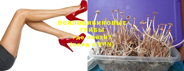 бошки Вязьма