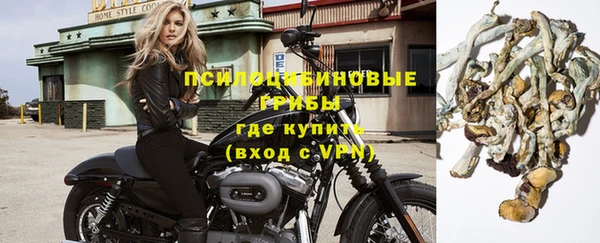 бошки Вязьма